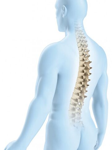 Ang sugat sa rehiyon ng thoracic ay mas malamang dahil sa lakas ng physiological nito