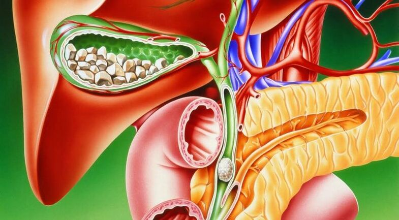 diagram ng lokasyon ng gallbladder